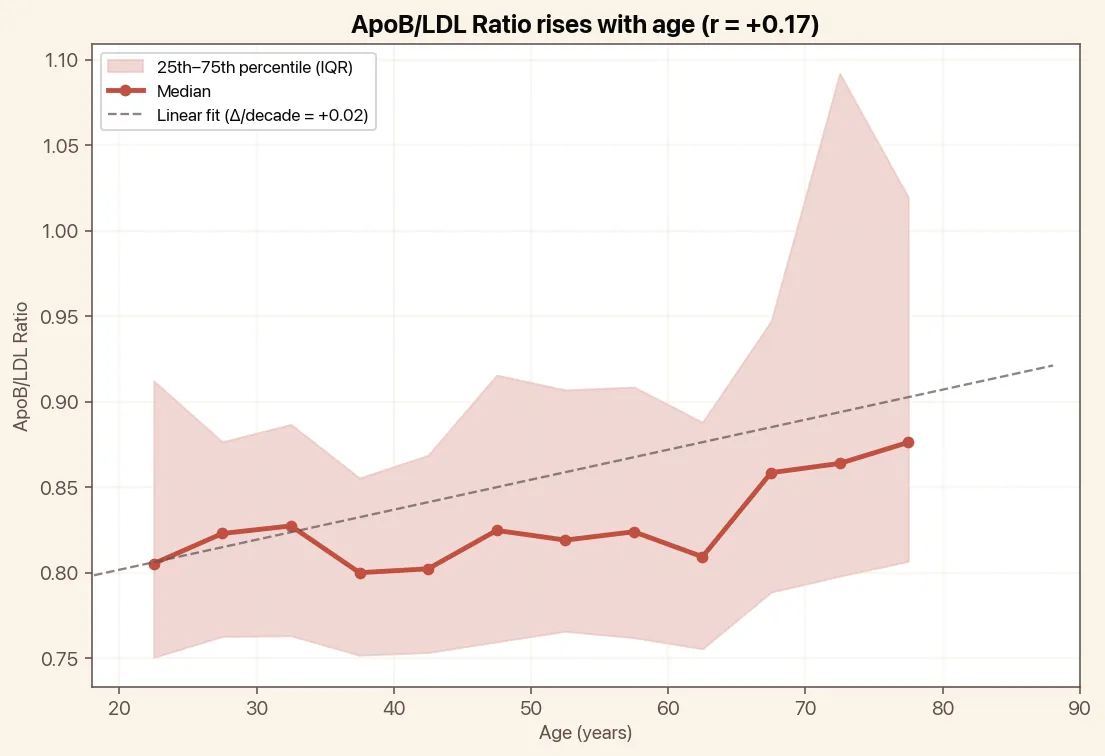 ApoB/LDL Ratio rises with age, chart with median and linear trend