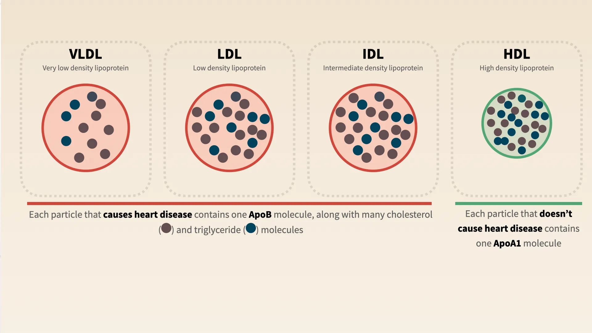 ApoB vs LDL cholesterol