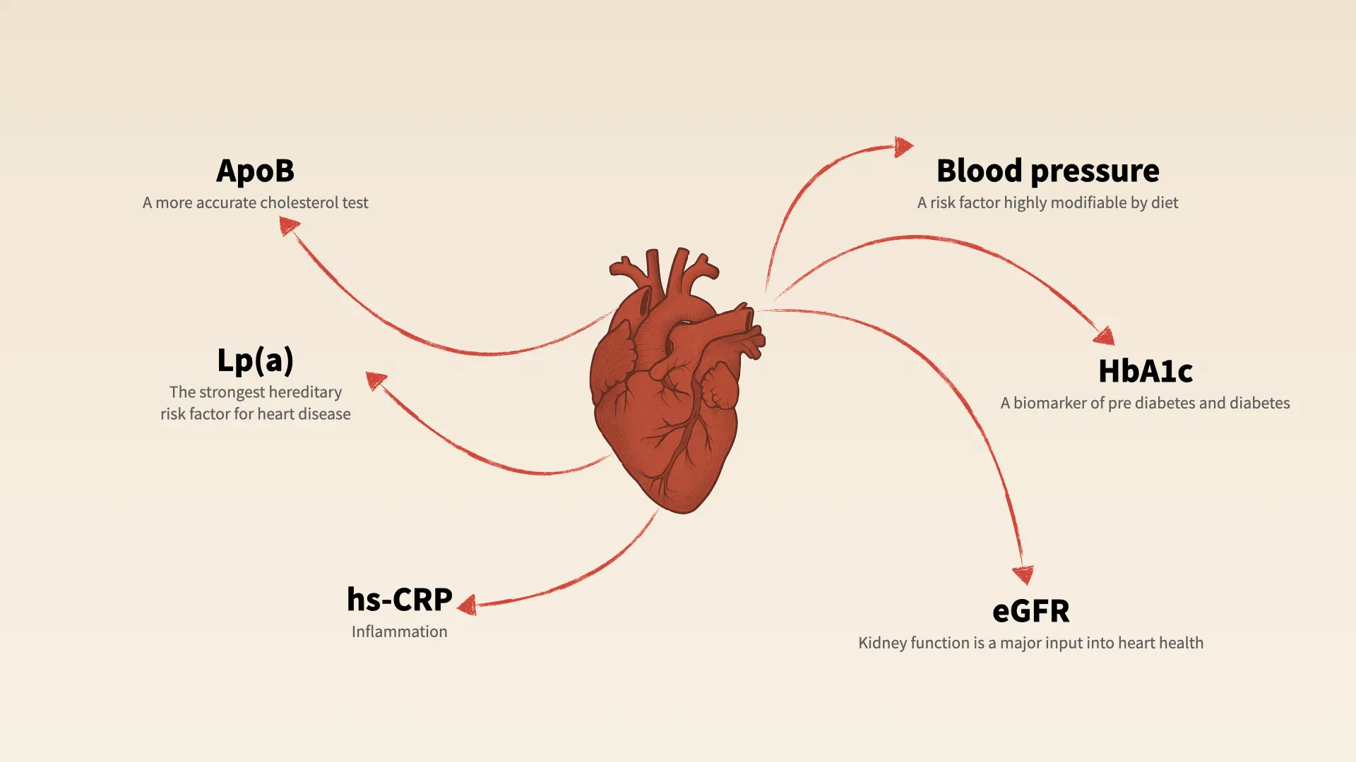 The best biomarkers for heart disease