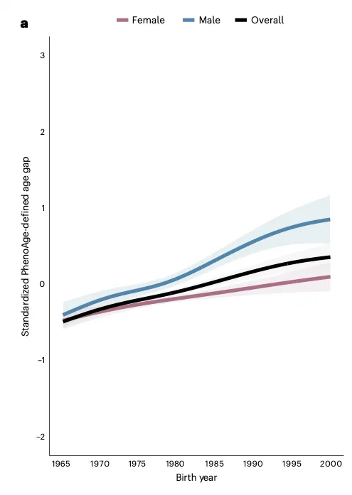 Line chart of standardized PhenoAge-defined age gap versus birth year from 1965 to 2000, shown for females, males, and overall. All three lines rise across birth years, with males rising fastest to roughly +0.9 by birth year 2000.