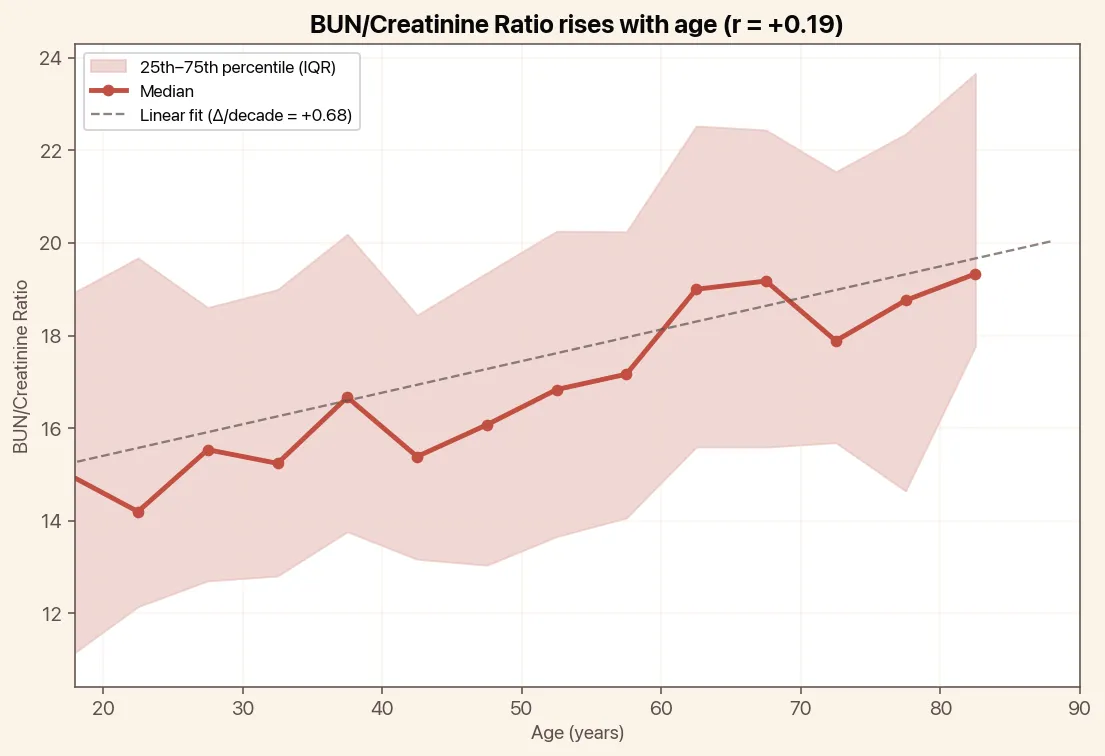 BUN/Creatinine Ratio rises with age, chart with median and linear trend
