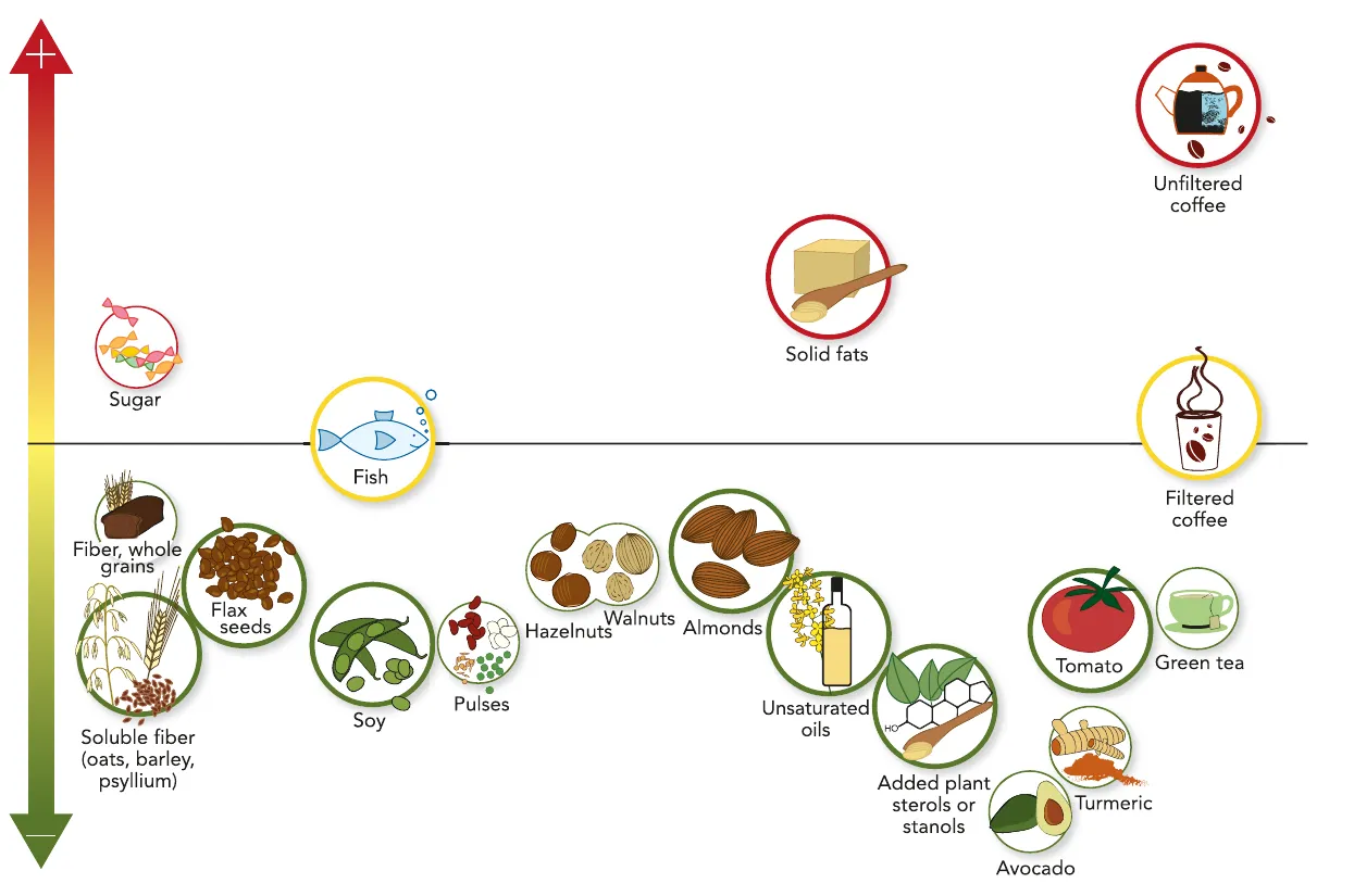 Original Figure 3: foods that raise or lower LDL, with larger circles for high-certainty evidence and smaller circles for moderate-certainty evidence.