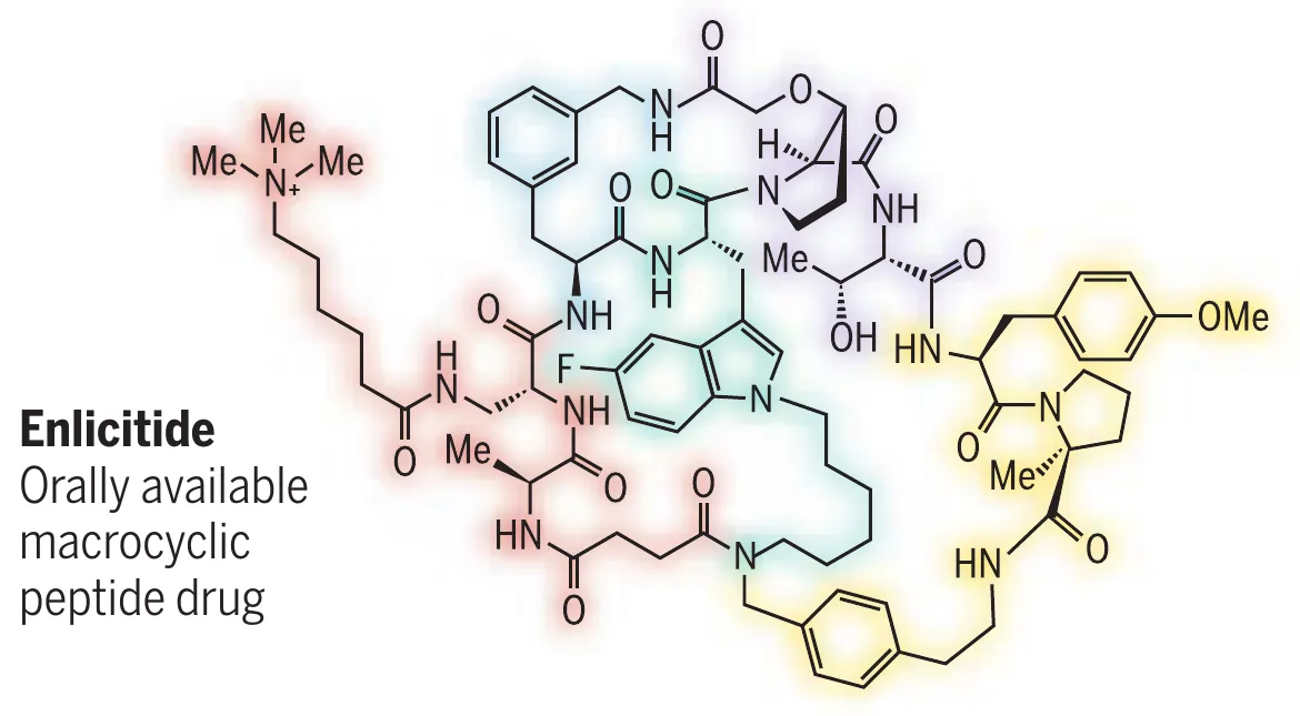 Chemical structure of enlicitide, showing its interlocking macrocyclic rings.