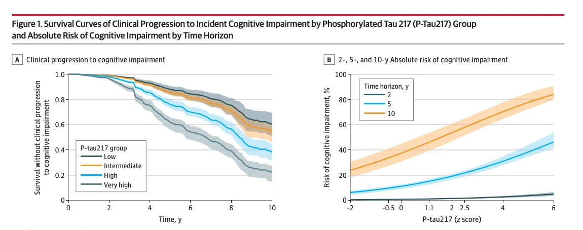 Survival curves and absolute risk of cognitive impairment by p-tau217 group