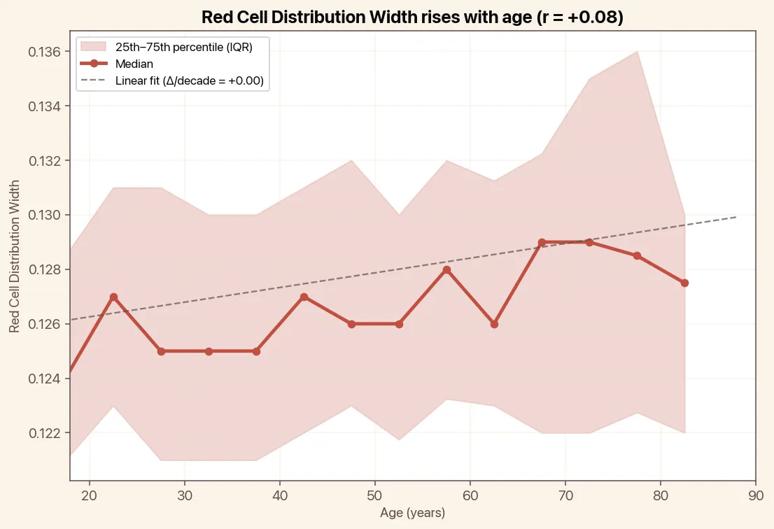 Red Cell Distribution Width rises with age, chart with median and linear trend