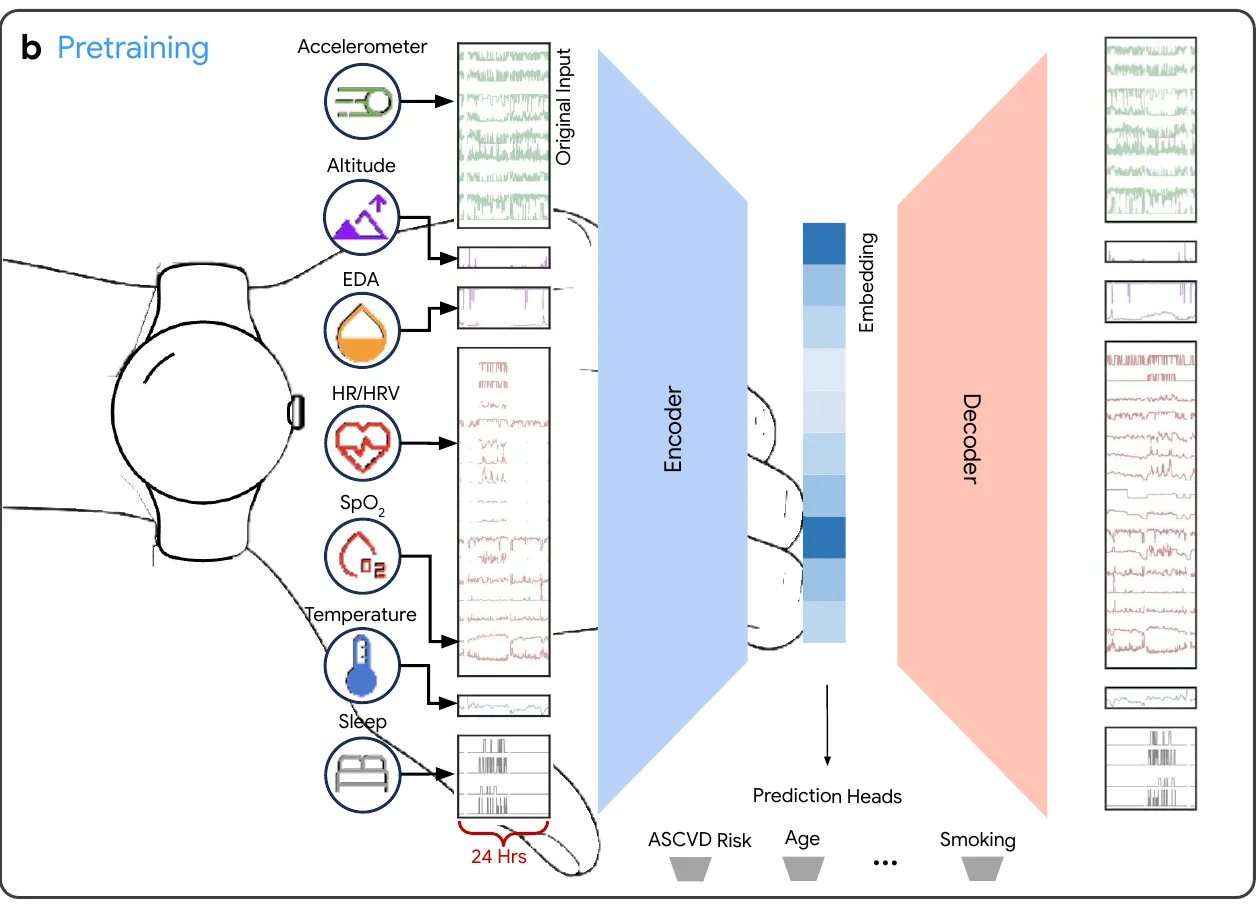 SensorFM pretraining architecture