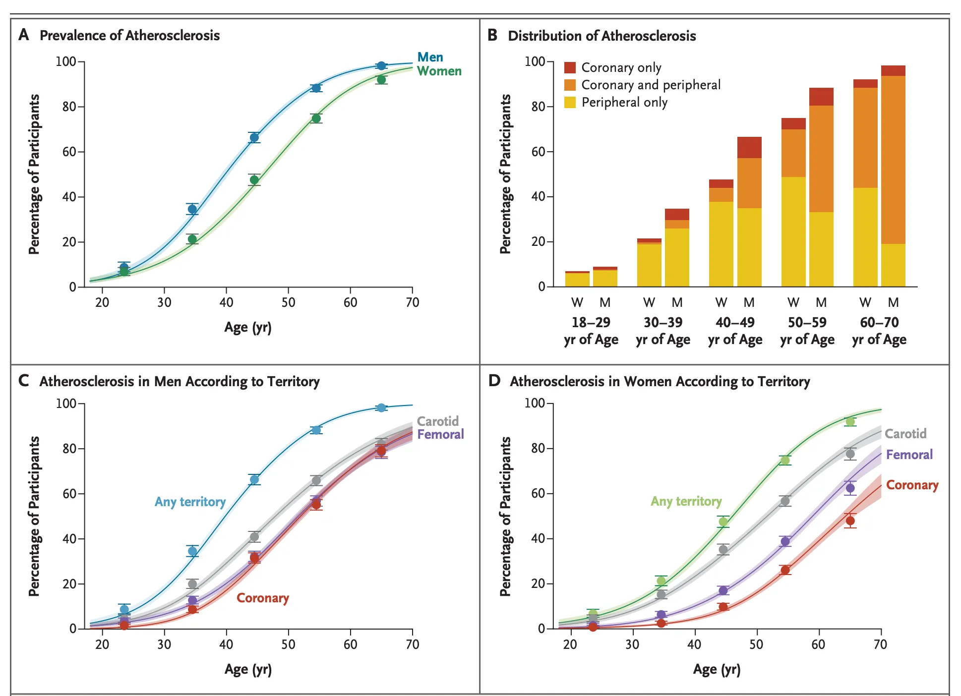 Atherosclerosis prevalence and distribution by age and sex