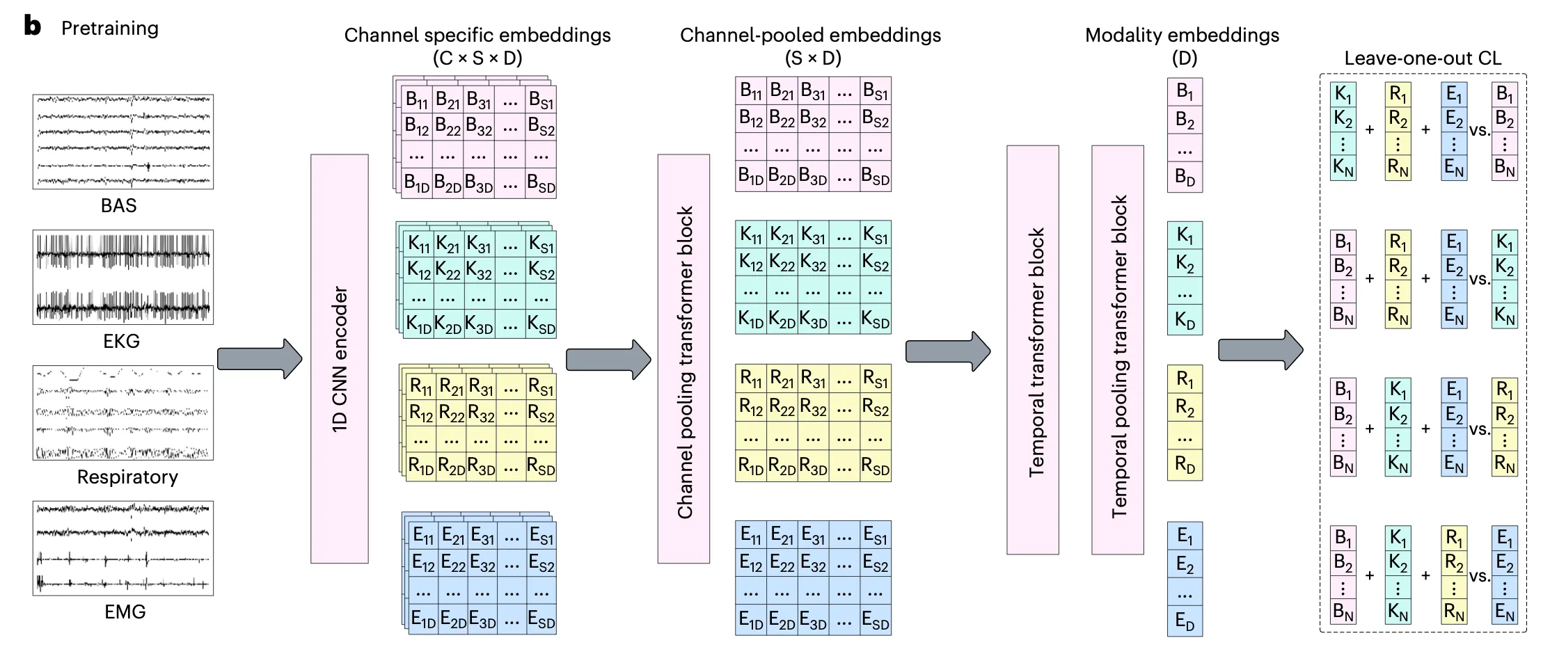 SleepFM pretraining architecture: 1D CNN encoders per modality, channel-pooling transformer, temporal transformer, and leave-one-out contrastive loss across BAS, EKG, respiratory, and EMG signals