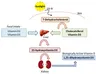 Vitamin D acts more like a hormone than a vitamin