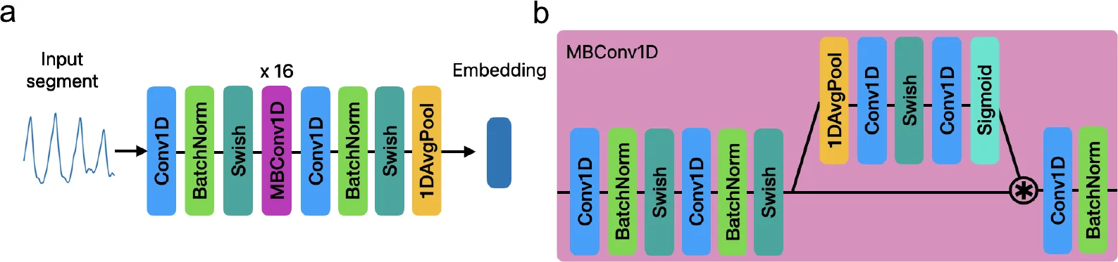 Apple's EfficientNet-style encoder architecture