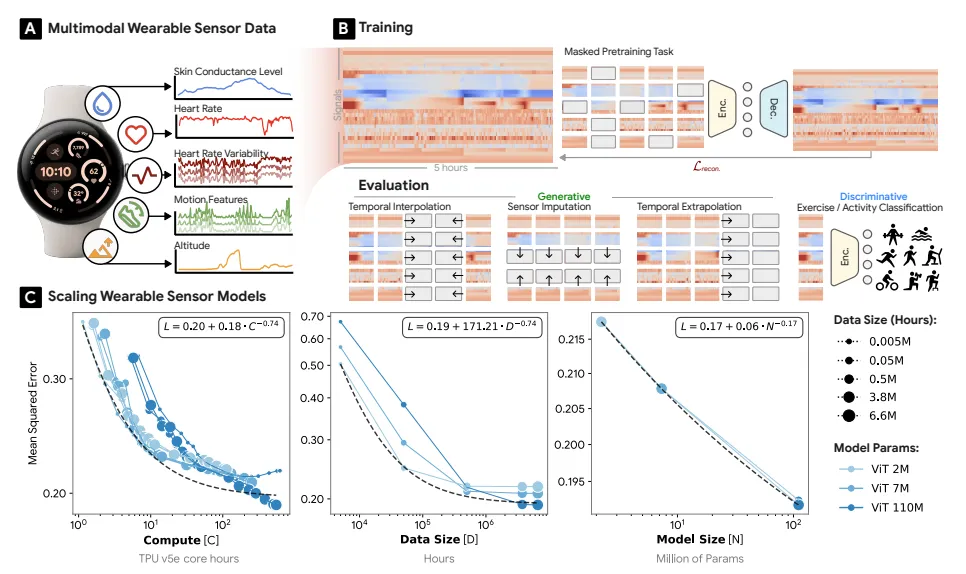 Google's LSM: wearable sensor data, masked pre-training, and scaling curves