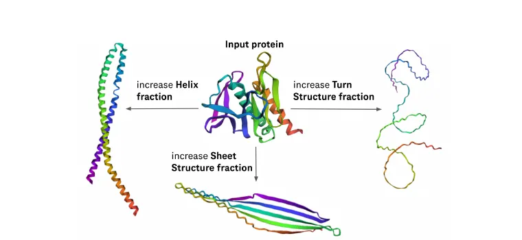 A concept bottleneck protein language model changes an input protein by increasing its helix, sheet, or turn structure fraction